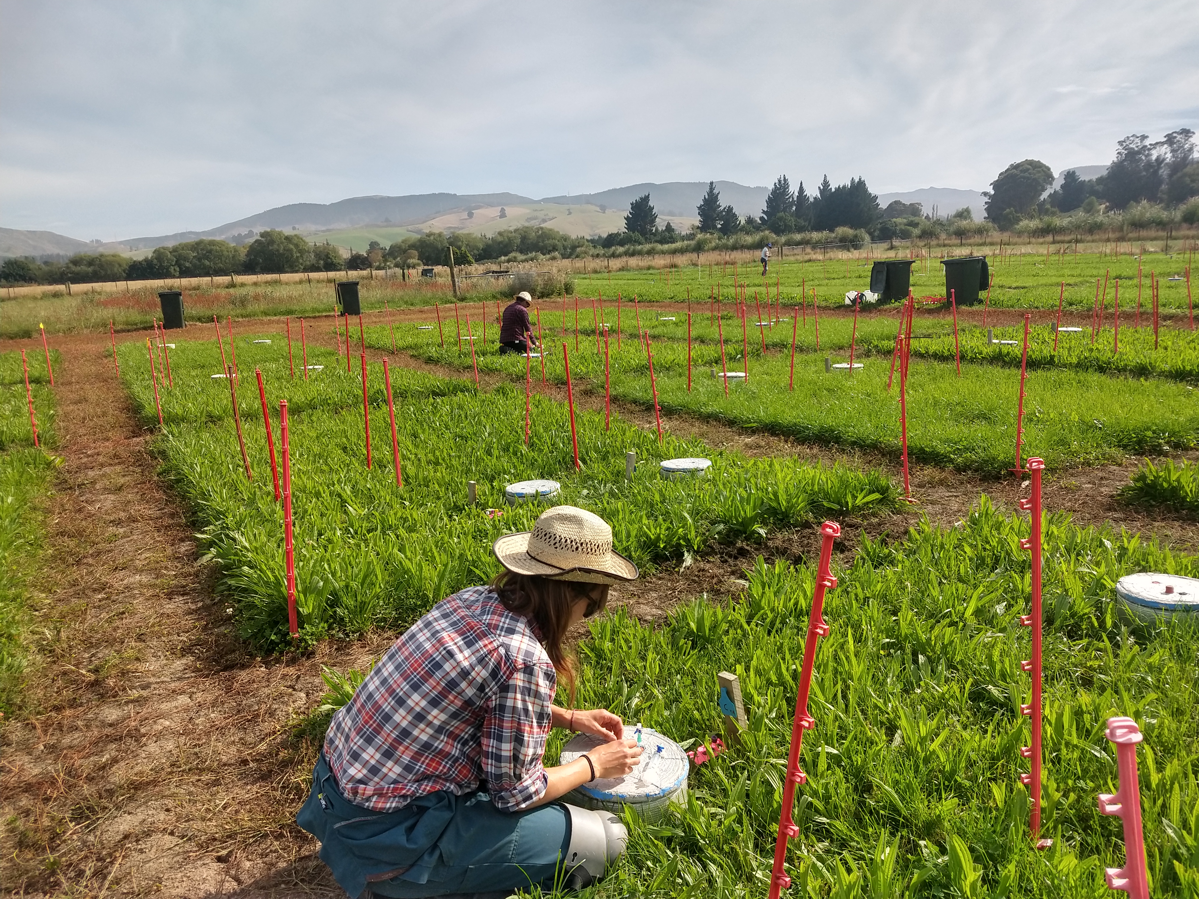 2.2c N2O experiments in field