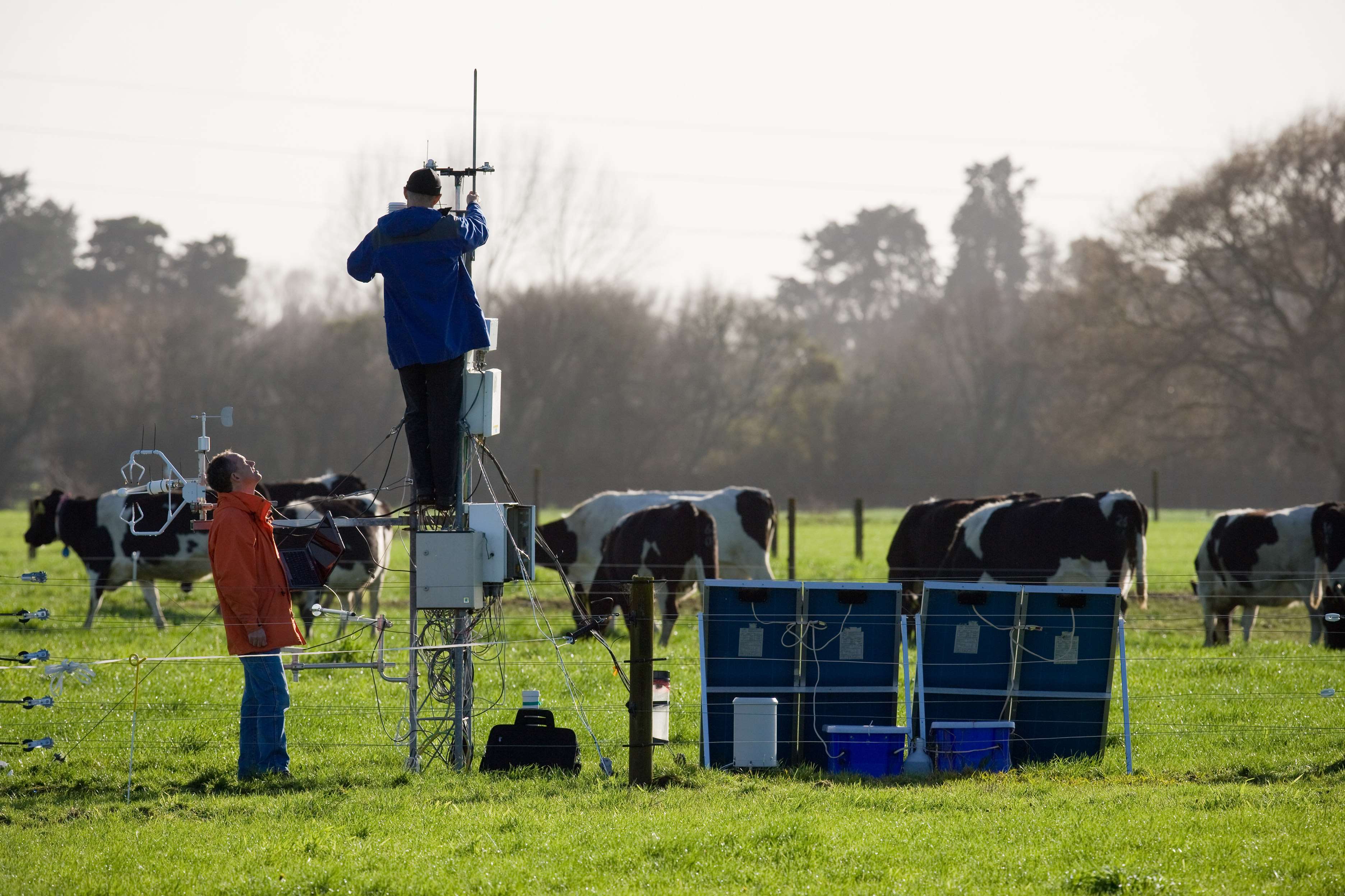 Field measurement